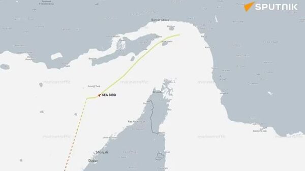 🚢 Хөлөг онгоцууд Ормузын хоолойгоор нэвтэрч эхэллээ - Sputnik Монгол Улс
