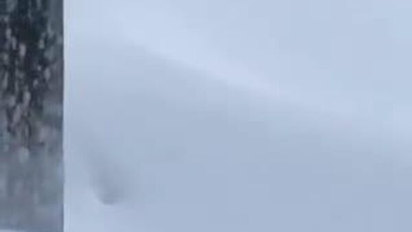 🇮🇹❄️ Италийн Изерниа мужид цасан шуурганы улмаас 1 - Sputnik Монгол Улс