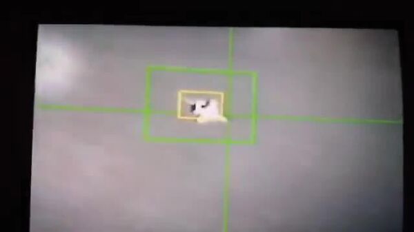 🇮🇷 Иран улс дайсны хоёр дахь сөнөөгч онгоцыг устгасан гэж мэдэгдэв - Sputnik Монгол Улс