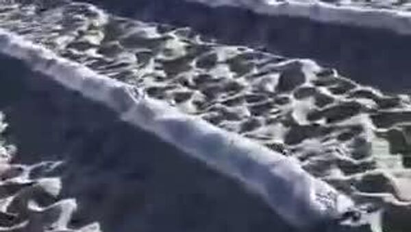 🇨🇳🌱 Хятад улс цөлийн ногоон байгууламжийг нэмэгдүүлэх хөтөлбөрөө үргэлжлүүлж байна - Sputnik Монгол Улс