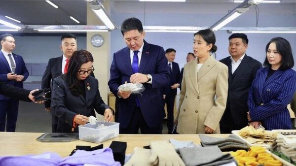 🇲🇳 “Цагаан алт” хөтөлбөрийн дүнд самнасан ноолуурын экспорт 330 сая ам - Sputnik Монгол Улс