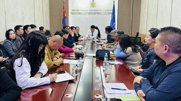 🇲🇳💸 Ноос, арьс шир бэлтгэх үйлдвэрүүдэд 85 тэрбум төгрөгийн хөнгөлөлттэй зээл олгоно - Sputnik Монгол Улс