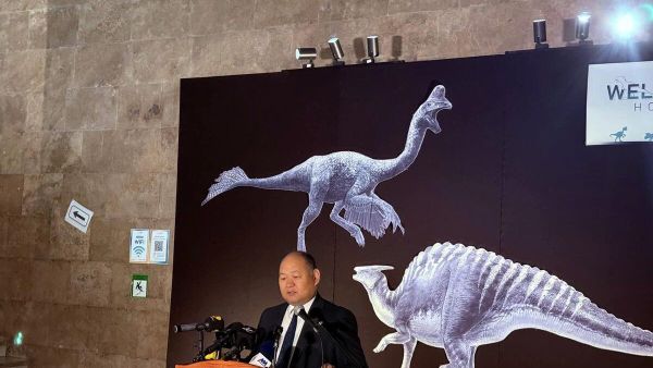 🇲🇳🇨🇵 Франц улсаас хууль бусаар худалдаалагдсан “Тарбозавр батаар” тэргүүтэй үлэг гүрвэлийн олдворуудыг эх оронд нь авчирлаа Монгол Улсаас хууль бусаар хил дамнасан палеонтологийн ховор олдворууд болох 50 гаруй хувийн бүрдэлтэй, харьцангуй бүрэн бүтэн Тарбозавр батаар-ын араг - Sputnik Монгол Улс