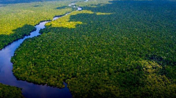 🌿 Колумби Амазоны ойг хамгаалахын тулд уул уурхай, газрын тосны шинэ төслүүдийг бүрэн хориглолоо - Sputnik Монгол Улс