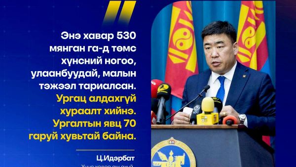 Энэ хавар 530 мянган га-д төмс хүнсний ногоо, улаанбуудай, малын тэжээл тариалсан - Sputnik Монгол Улс