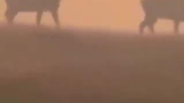 🇫🇷 Францад ойн түймэр 220 мянган хүнийг нүүлгэн шилжүүлж, цэргийн үйлдвэрүүдэд заналхийлж байна - Sputnik Монгол Улс