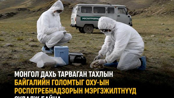 🚨 ОХУ-ын Роспотребнадзор байгууллагын мэргэжилтнүүд Монголд байгалийн гаралтай тахлын дэгдэлтийг шалгаж байна 🚨 ОХУ-ын Роспотребнадзор байгууллагын мэргэжилтнүүд Монголд байгалийн гаралтай тахлын дэгдэлтийг шалгаж байна - Sputnik Монгол Улс
