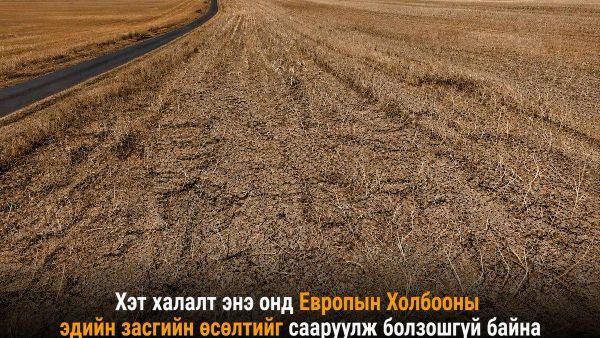 Хэт халалт энэ онд Европын Холбооны эдийн засгийн өсөлтийг сааруулж болзошгүй байна - Sputnik Монгол Улс