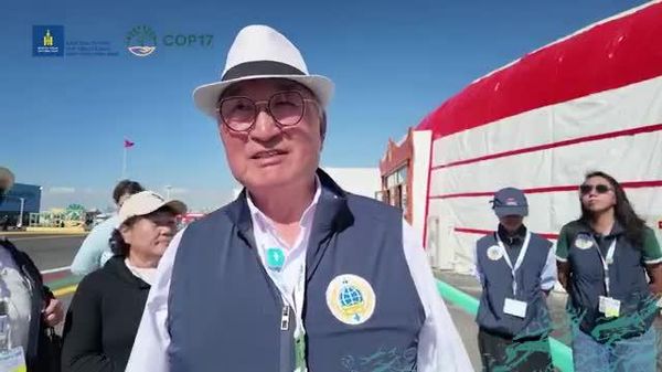 🇲🇳🌏 COP17-ын үеэр Баяндэмбэрэл хортон шавж устгалын компани хамтран ажиллаж байна - Sputnik Монгол Улс