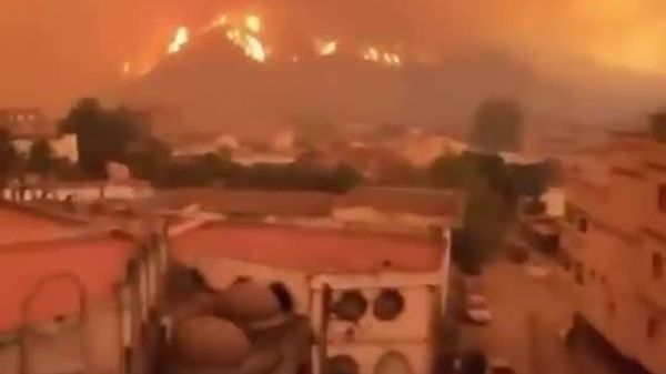 🔥 Алжирт наймдугаар сарын турш ой хээрийн түймэр үргэлжилж байна - Sputnik Монгол Улс