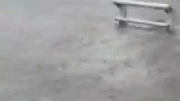 🌧️ Японд их хэмжээний хур тунадас орж, үер буужээ - Sputnik Монгол Улс