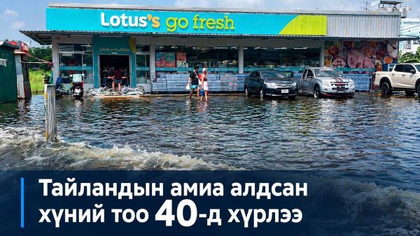 🌊🇹🇭 Тайландад үргэлжилж буй үерийн улмаас амиа алдсан хүний тоо 40-д хүрч, нийтдээ 2,700 орчим ам км² талбай усанд автсан байна - Sputnik Монгол Улс