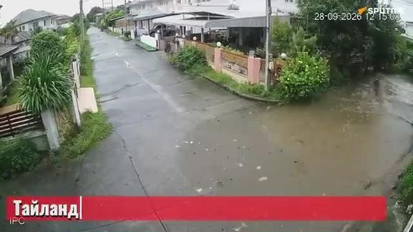 🌊🇹🇭 Тайландад үргэлжилж буй үерийн улмаас амиа алдсан хүний тоо 40-д хүрч, нийтдээ 2,700 орчим ам км² талбай усанд автсан байна - Sputnik Монгол Улс