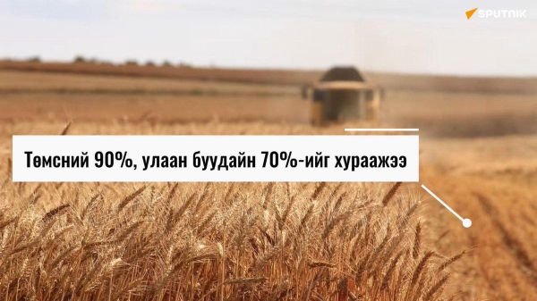 🥔 Төмсний 90%, 🌾 улаан буудайн 70%-ийг хураажээ - Sputnik Монгол Улс