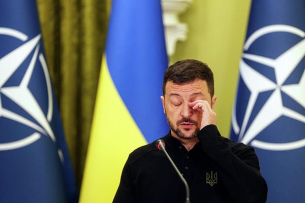 Vladimir Zelensky phát biểu với các phóng viên trong cuộc họp báo chung với Tổng thư ký NATO Mark Rutte ở Kiev, Ukraina, ngày 3 tháng 10 năm 2024. Vladimir Zelensky phát biểu với các phóng viên trong cuộc họp báo chung với Tổng thư ký NATO Mark Rutte ở Kiev, Ukraina, ngày 3 tháng 10 năm 2024. - Sputnik Монгол Улс