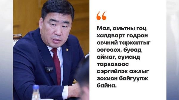 Годрон өвчин: 2 аймгийн 3 суманд 3 голомт бүртгэгджээ - Sputnik Монгол Улс