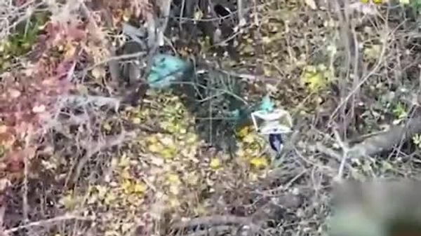 ОХУ-ын дронууд Украины автомат гранат шидэгч, миномётикуудыг устгажээ🔥 - Sputnik Монгол Улс